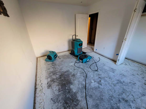 Best Water damage restoration insurance claims  in East Griffin, GA