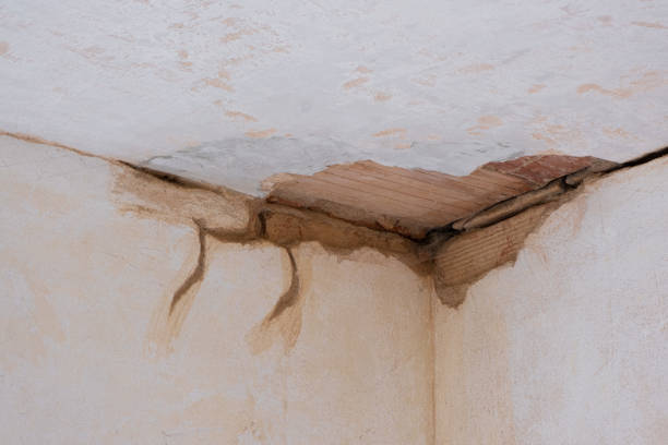 Best Water damage restoration near me  in East Griffin, GA