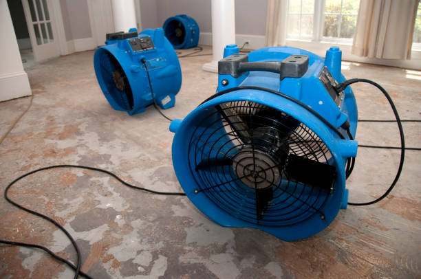 Best Water damage restoration near me  in East Griffin, GA