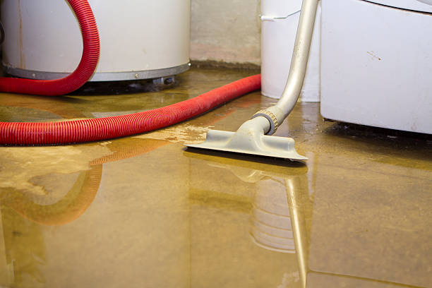 Best Flooded house restoration  in East Griffin, GA
