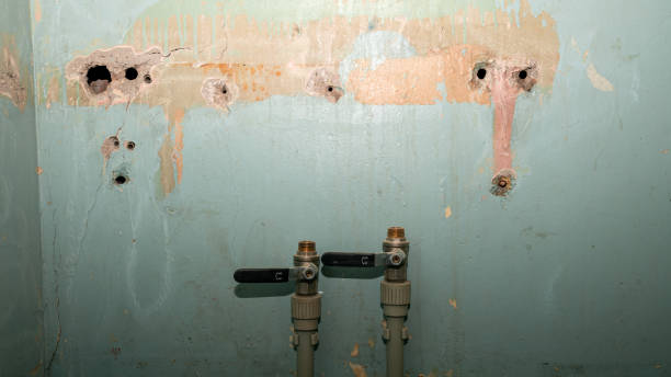 Best Flood damage cleanup  in East Griffin, GA