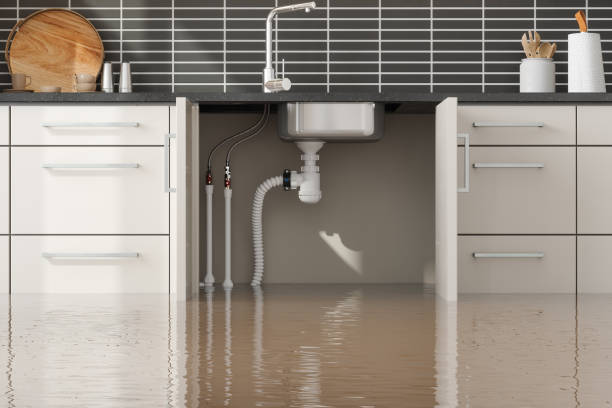 Best Residential water damage restoration  in East Griffin, GA